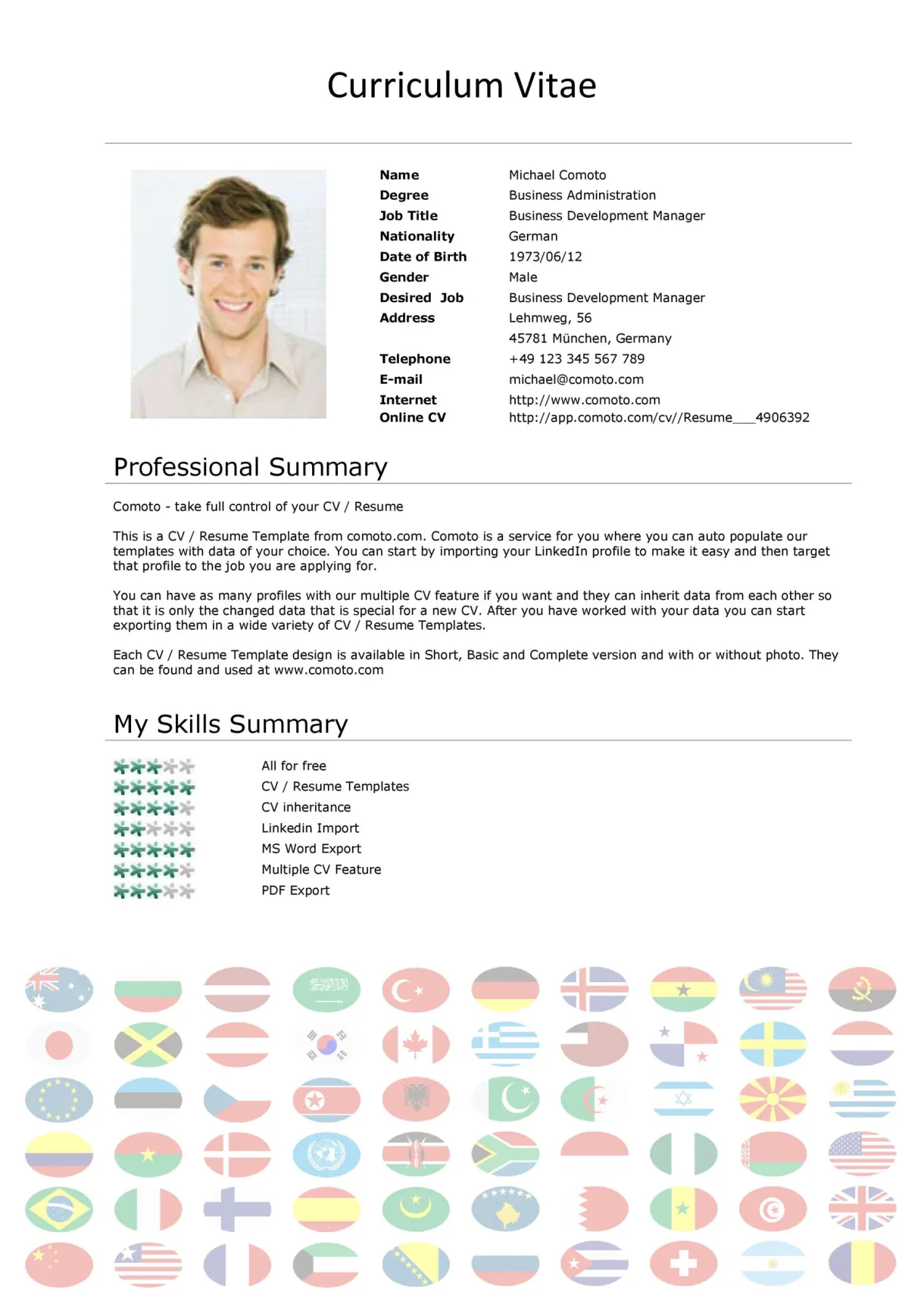 Cv format curriculum vitae cv format guide with examples and tips my
