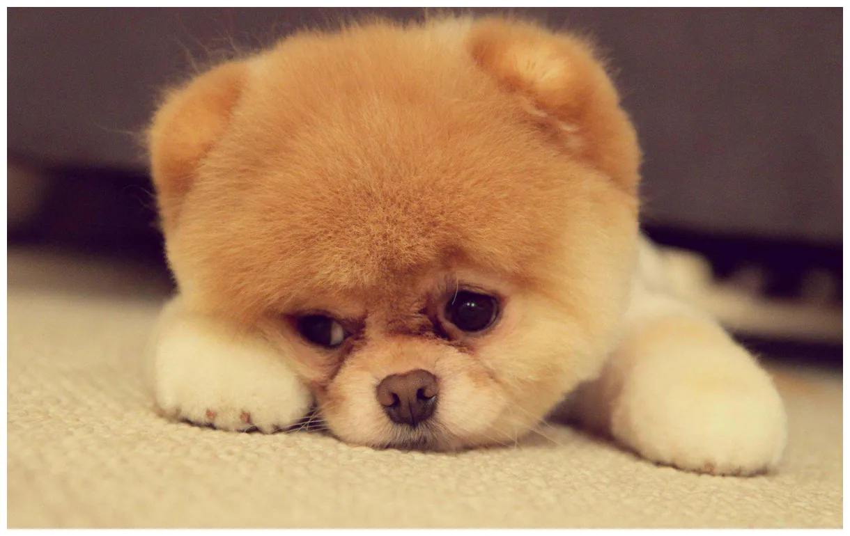 Best cute s pixelstalk