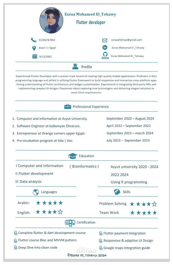 بناء cv إحترافي professional | مستقل
