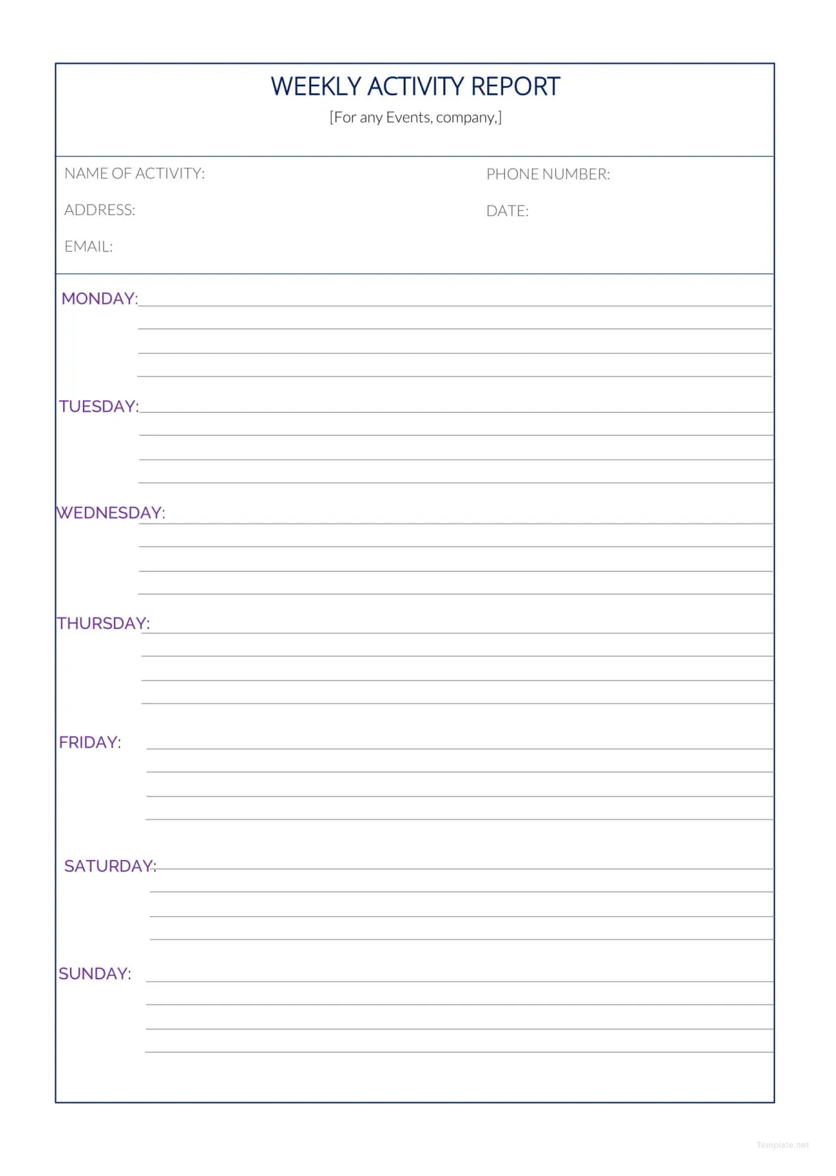 Template for a report