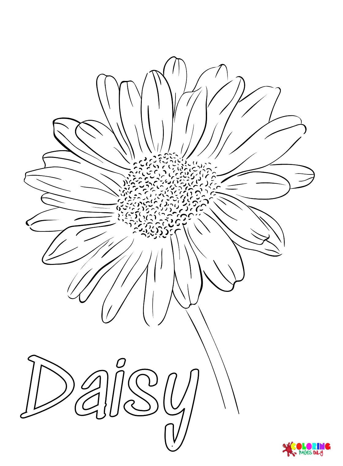 Flower Daisy Coloring Page - Free Printable Coloring Pages