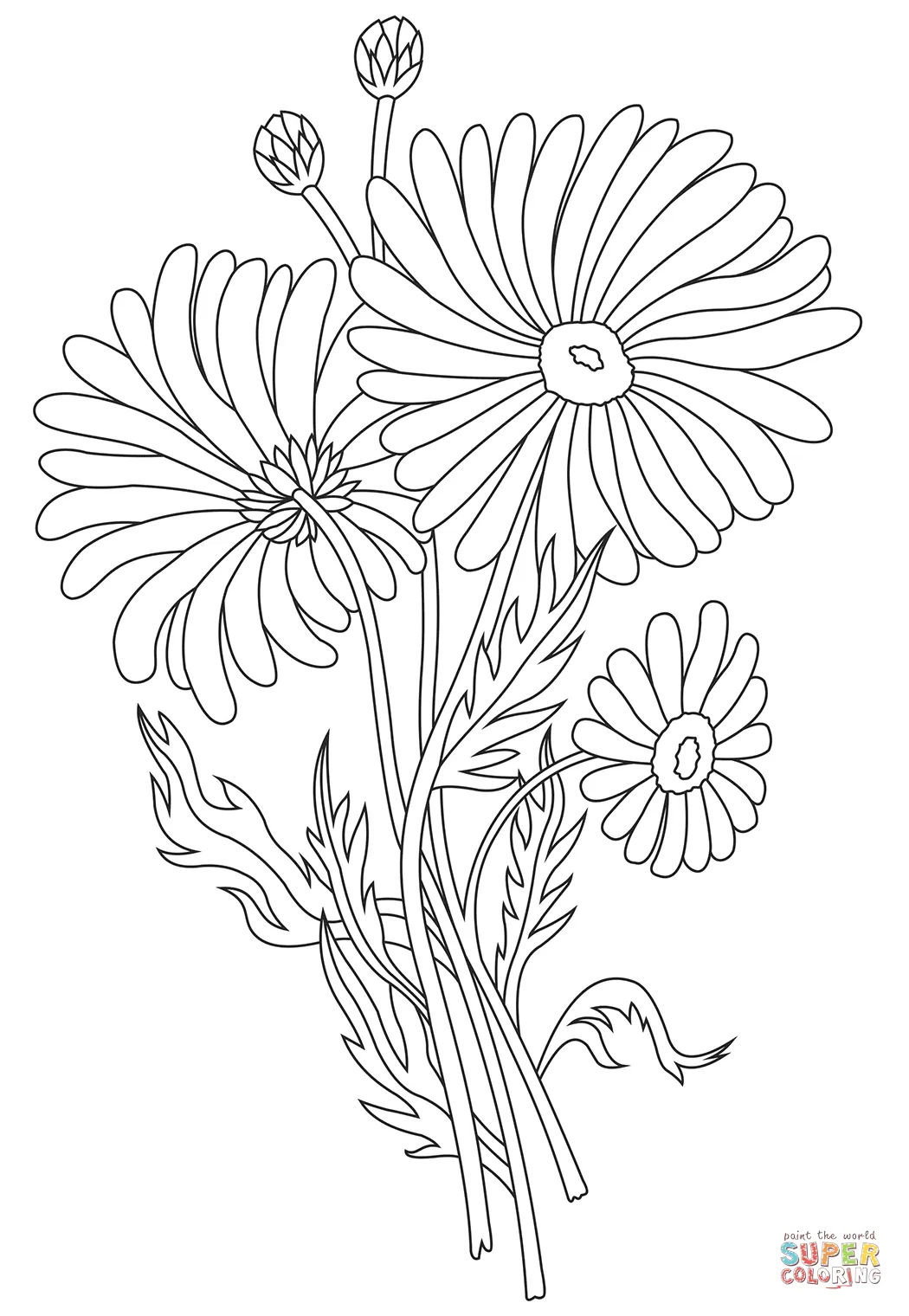 Daisy coloring page | Free Printable Coloring Pages