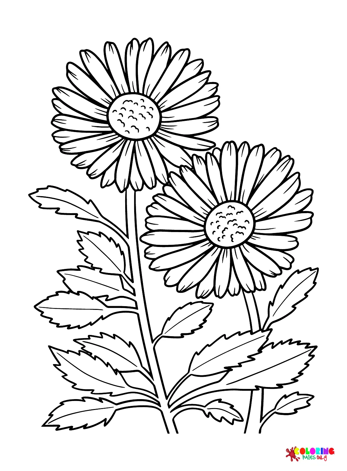 30+ Daisy Coloring Pages - Free Printable PDF & Online Coloring