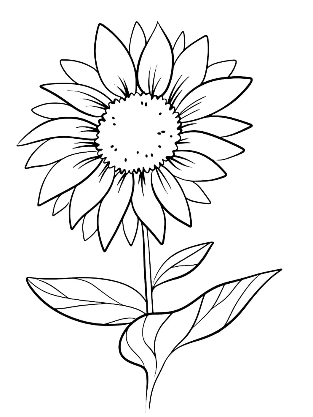 Daisy Flower Free coloring page - Download, Print or Color Online for Free