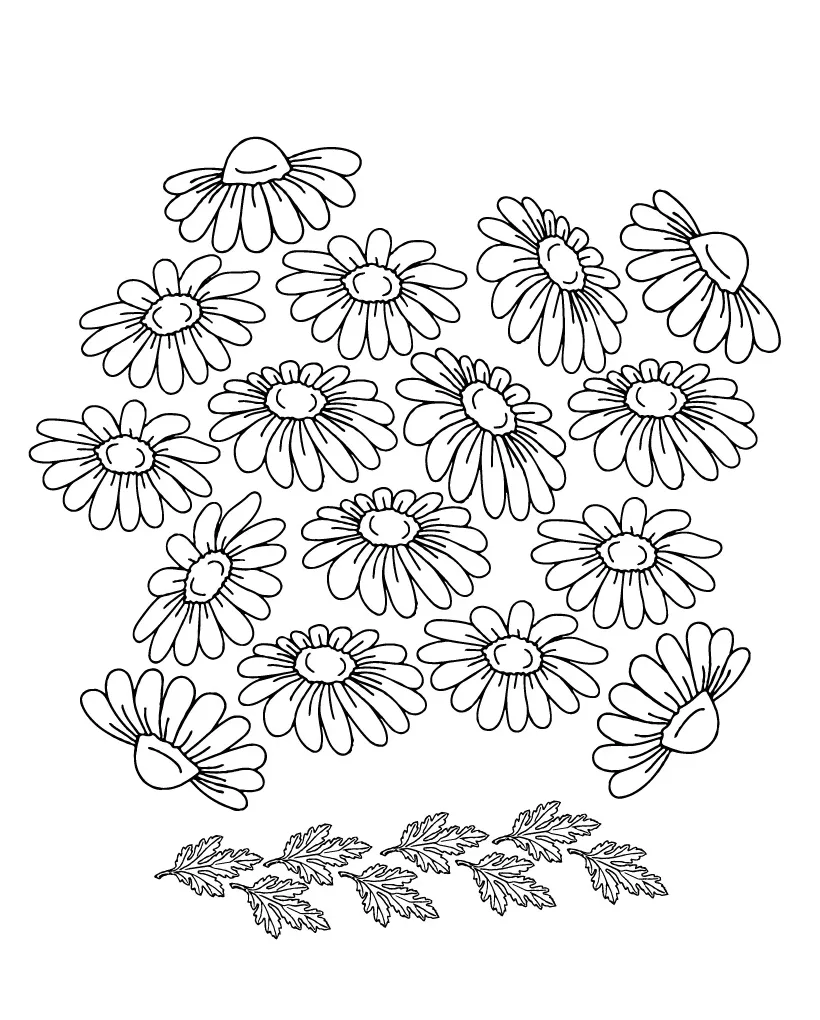 Daisy coloring page-07