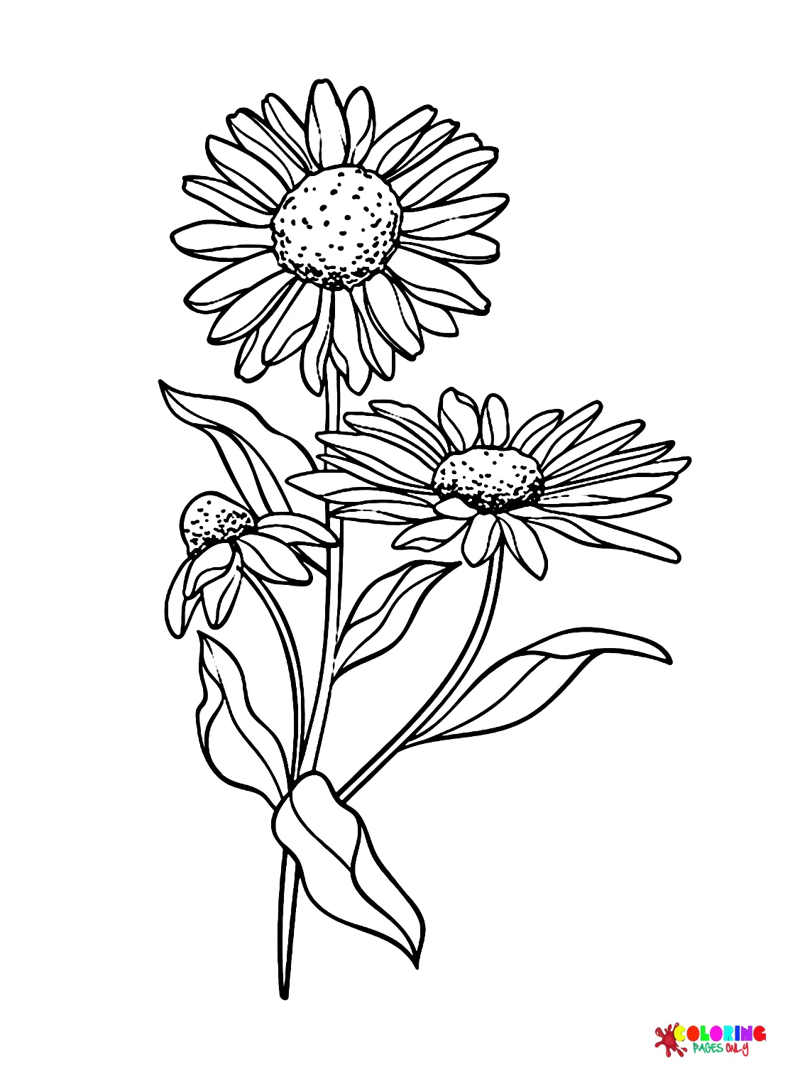 Flower Daisy Coloring Page - Free Printable Coloring Pages