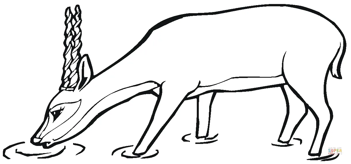 Deer Drinking Water Coloring Page Coloring Pages - Coloring Cool