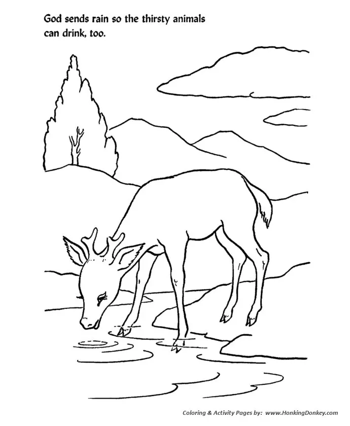 Deer Drinking Water Coloring Pages [2025]