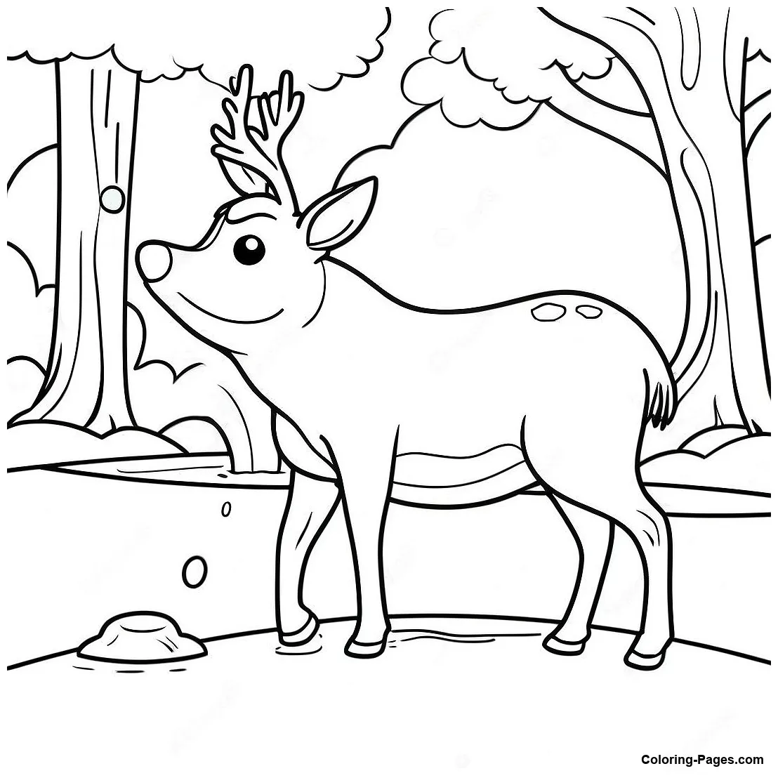 Gentle Buck Deer Drinking Water Coloring Page | Coloring-Pages.com
