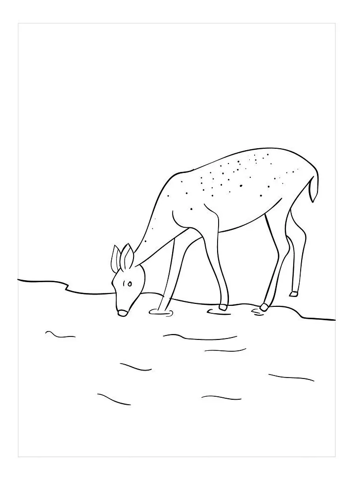 Deer Drinking Water Coloring Pages & coloring book. 6000+ coloring pages.