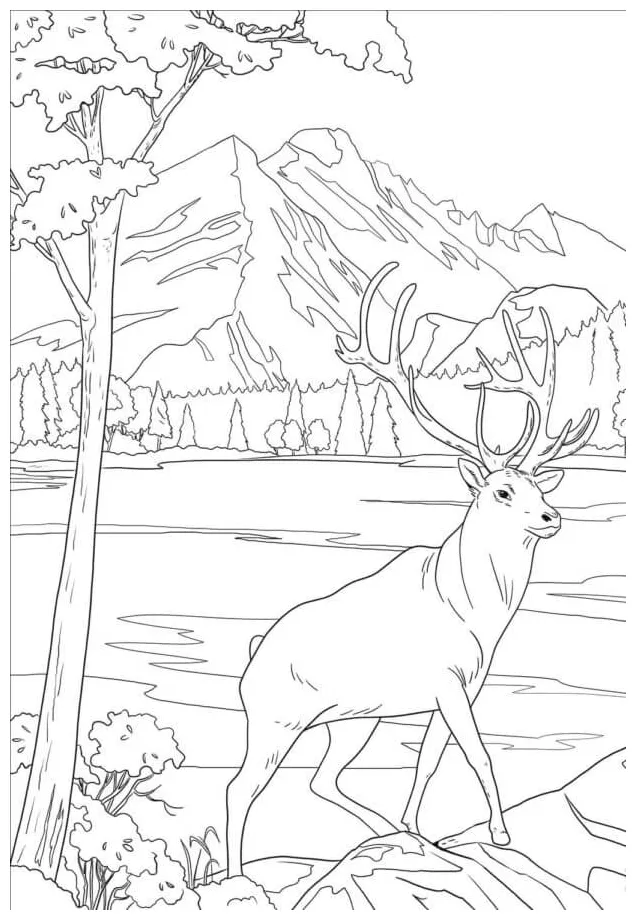 Gorgeous deer in the forest coloring page download, print or color