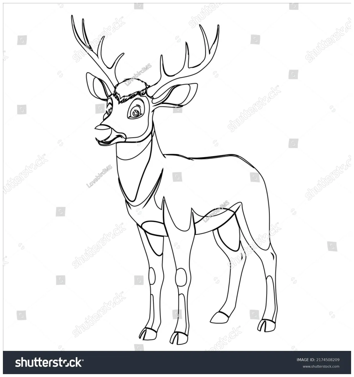 Deer animal coloring page forest animal stock vector