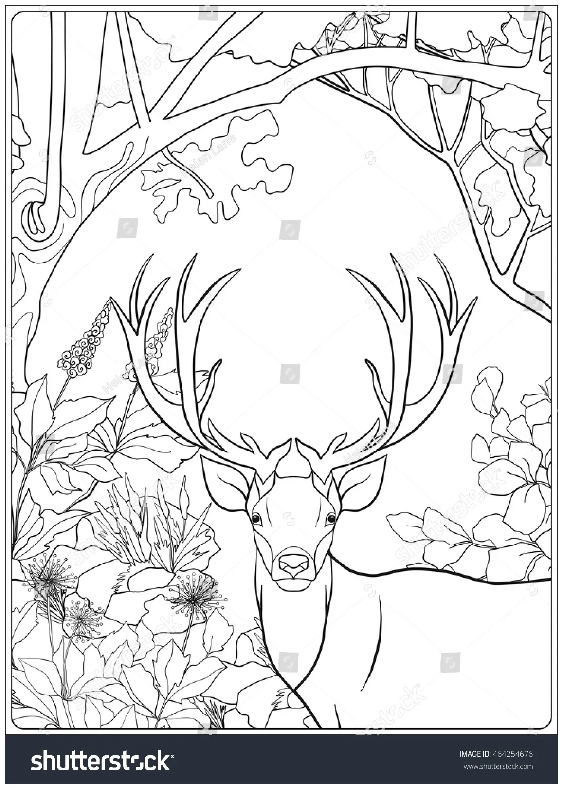 Coloring page deer forest coloring book stock vector printable coloring page