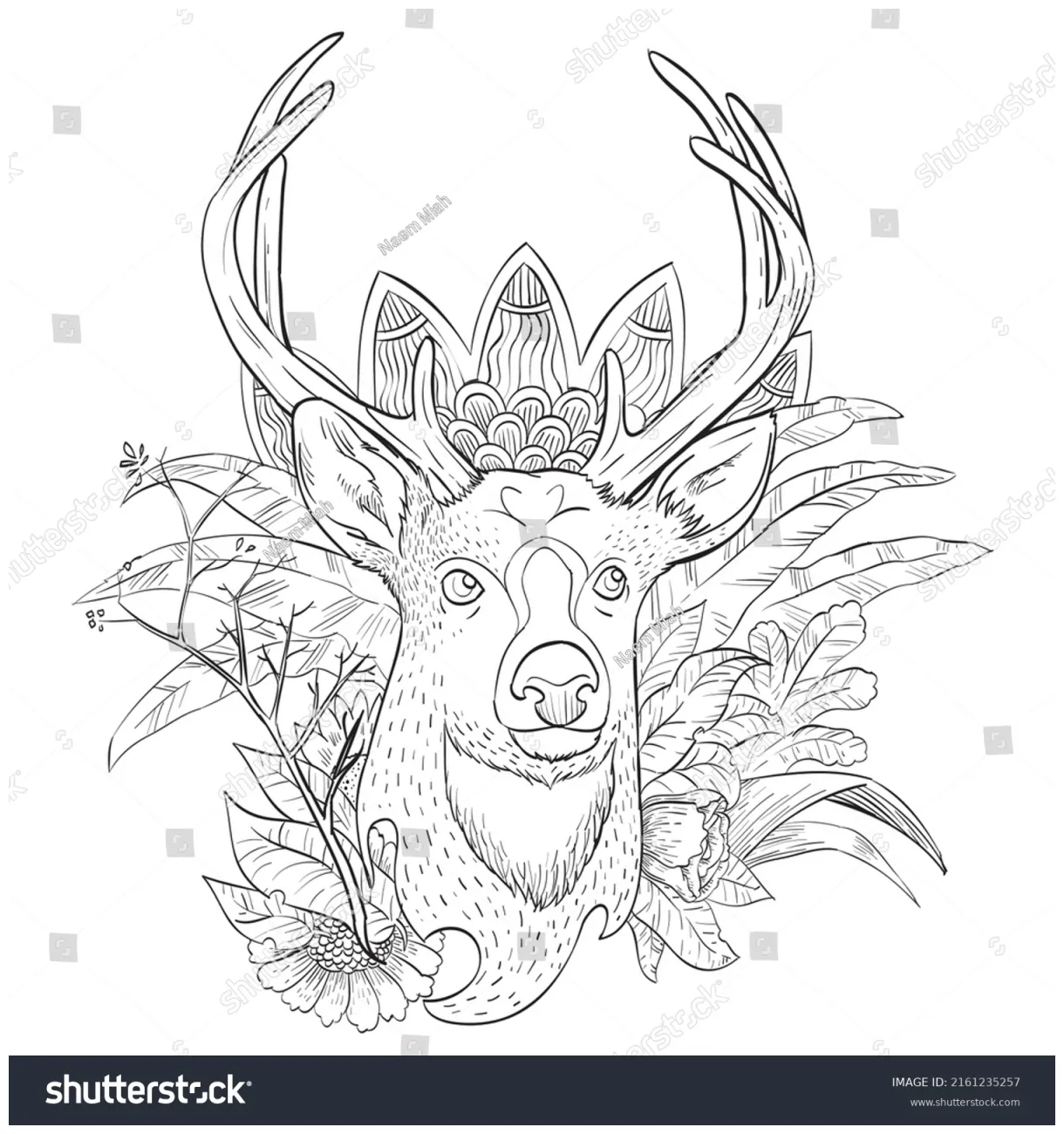 Coloring page deer forest coloring book stock vector