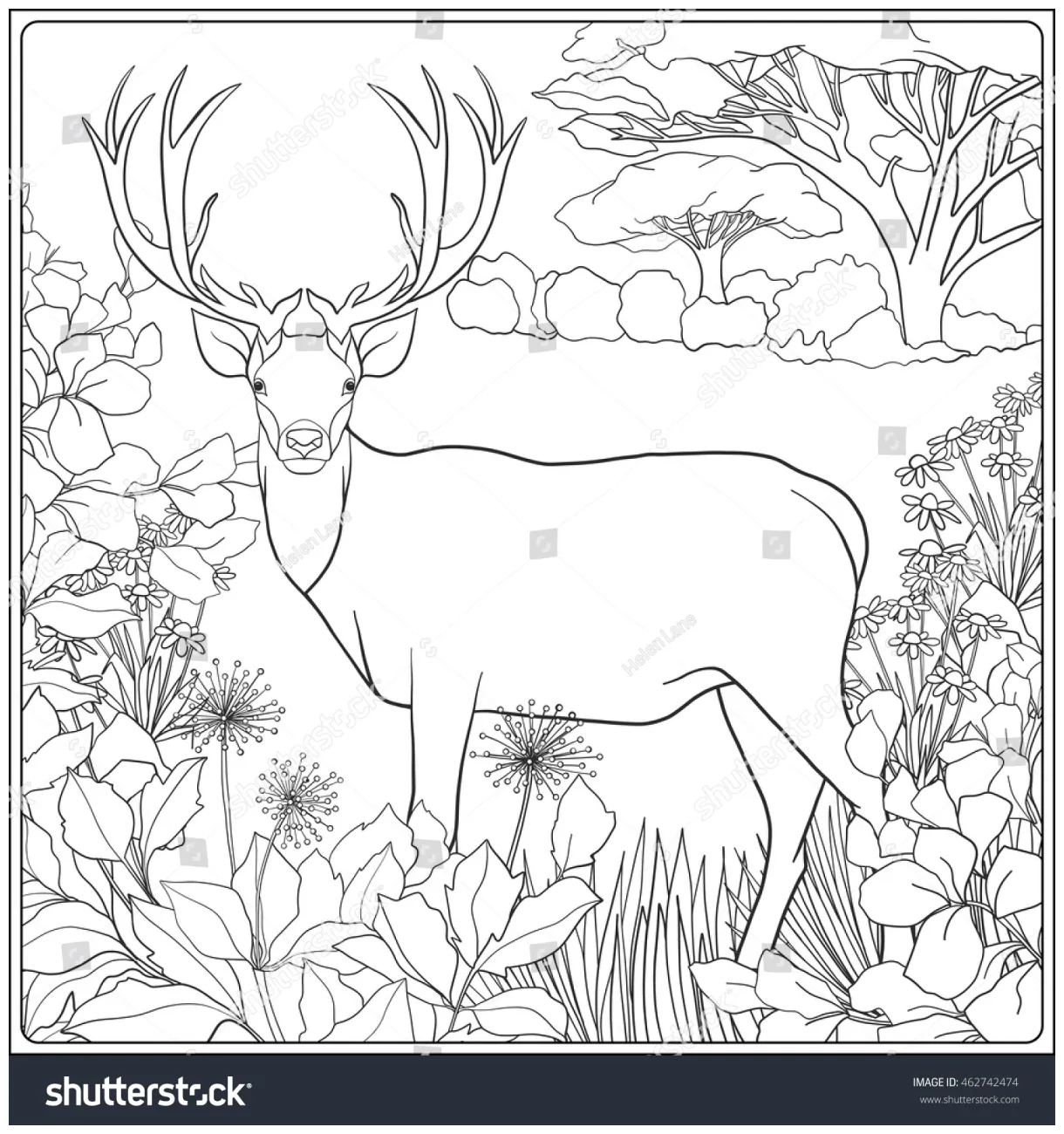 Coloring page deer forest coloring book stock vector printable coloring page