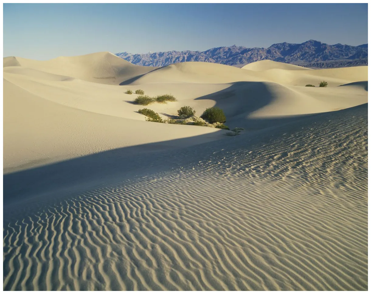 North American Desert | Climate, Flora & Fauna | Britannica