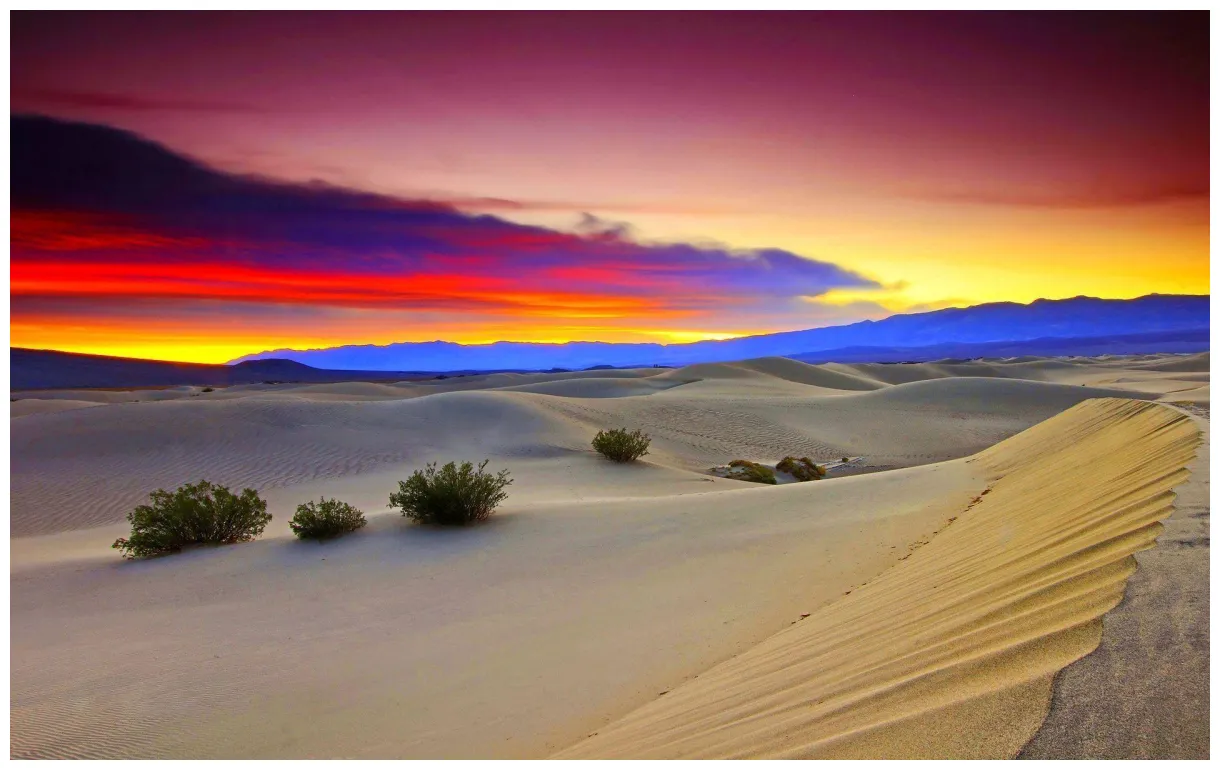 Desert s top free desert s