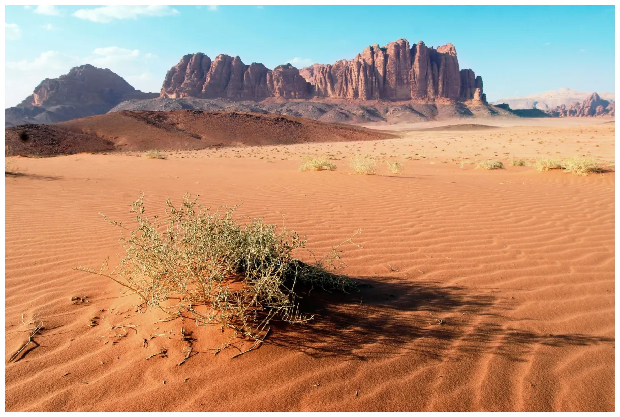 What is a desert types of deserts dk find out