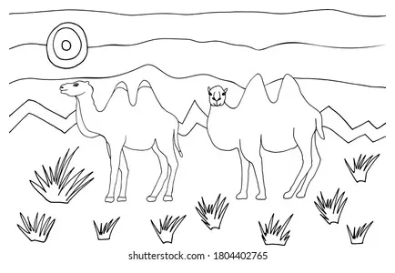 Coloring page camels caravan desert landscape stock vector royalty