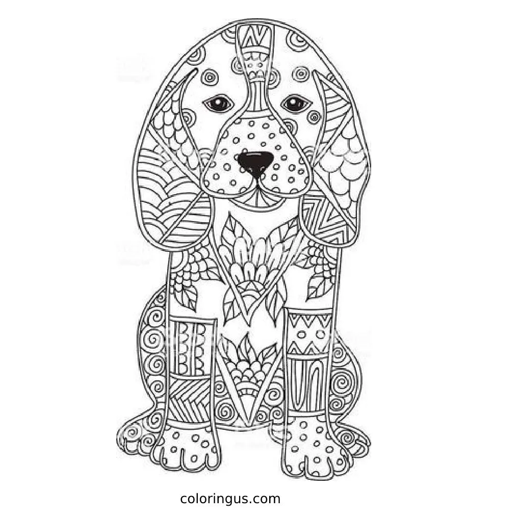 Detailed Coloring Pages (Free Printable PDF)