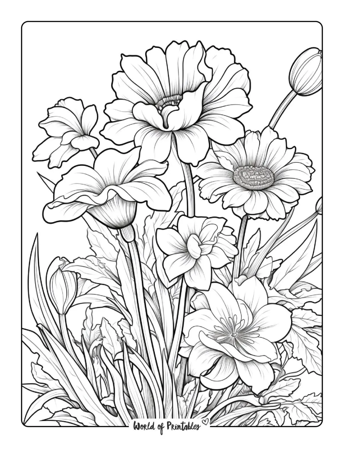 Free printable flower coloring sheets