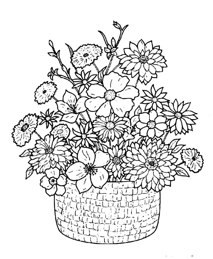 S to download and print for free