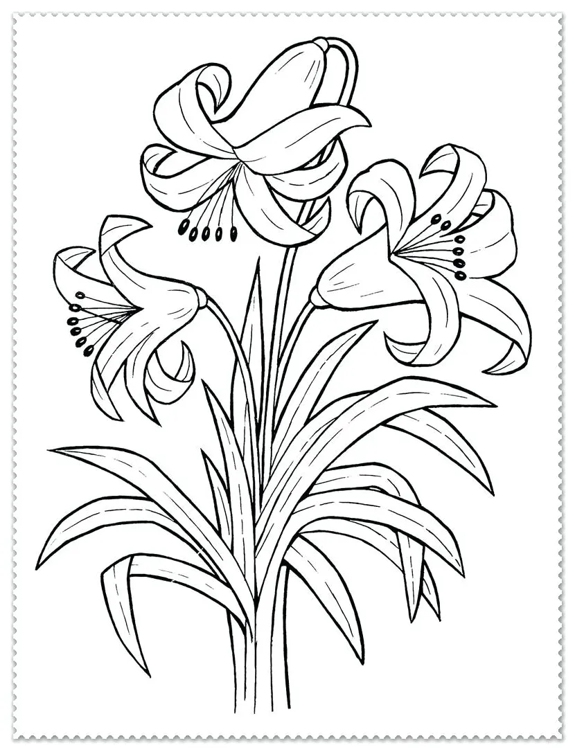 S at getcolorings free printable