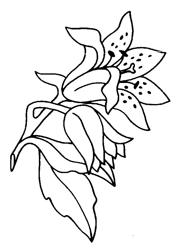 S flower coloring page