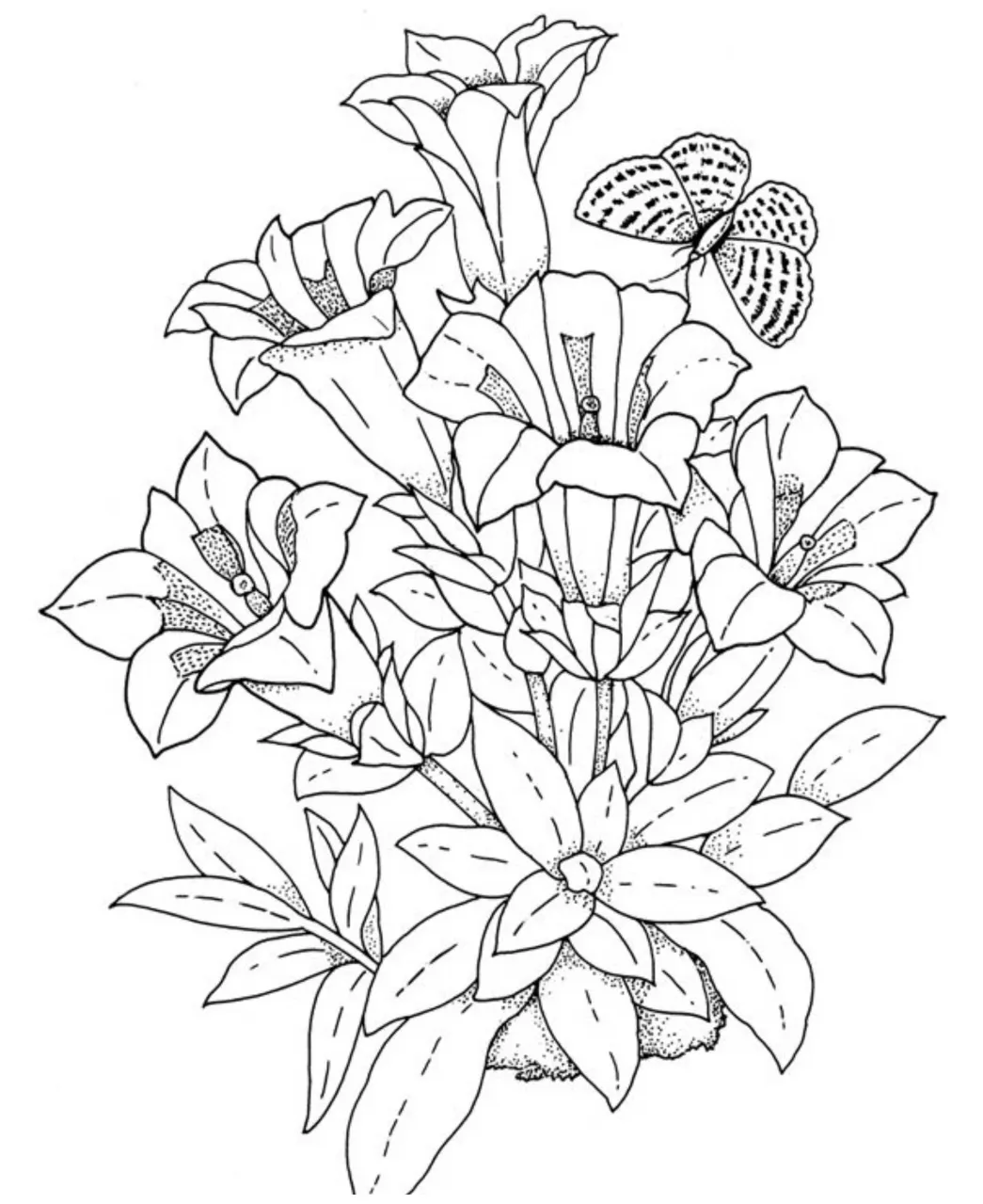 S to download and print for free printable coloring page