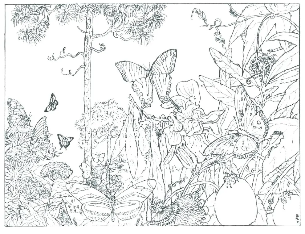 Lace coloring pages at getcolorings free printable colorings