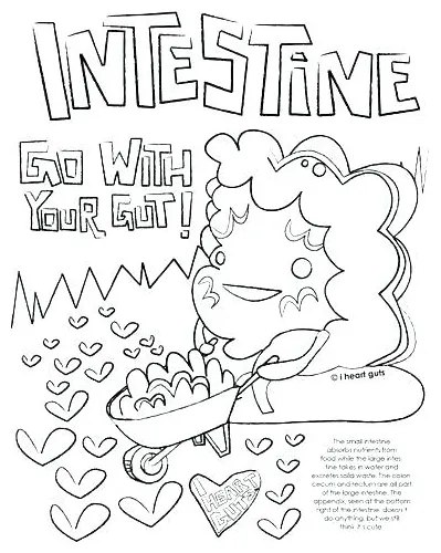 Digestive System Coloring Page at GetColorings.com | Free printable