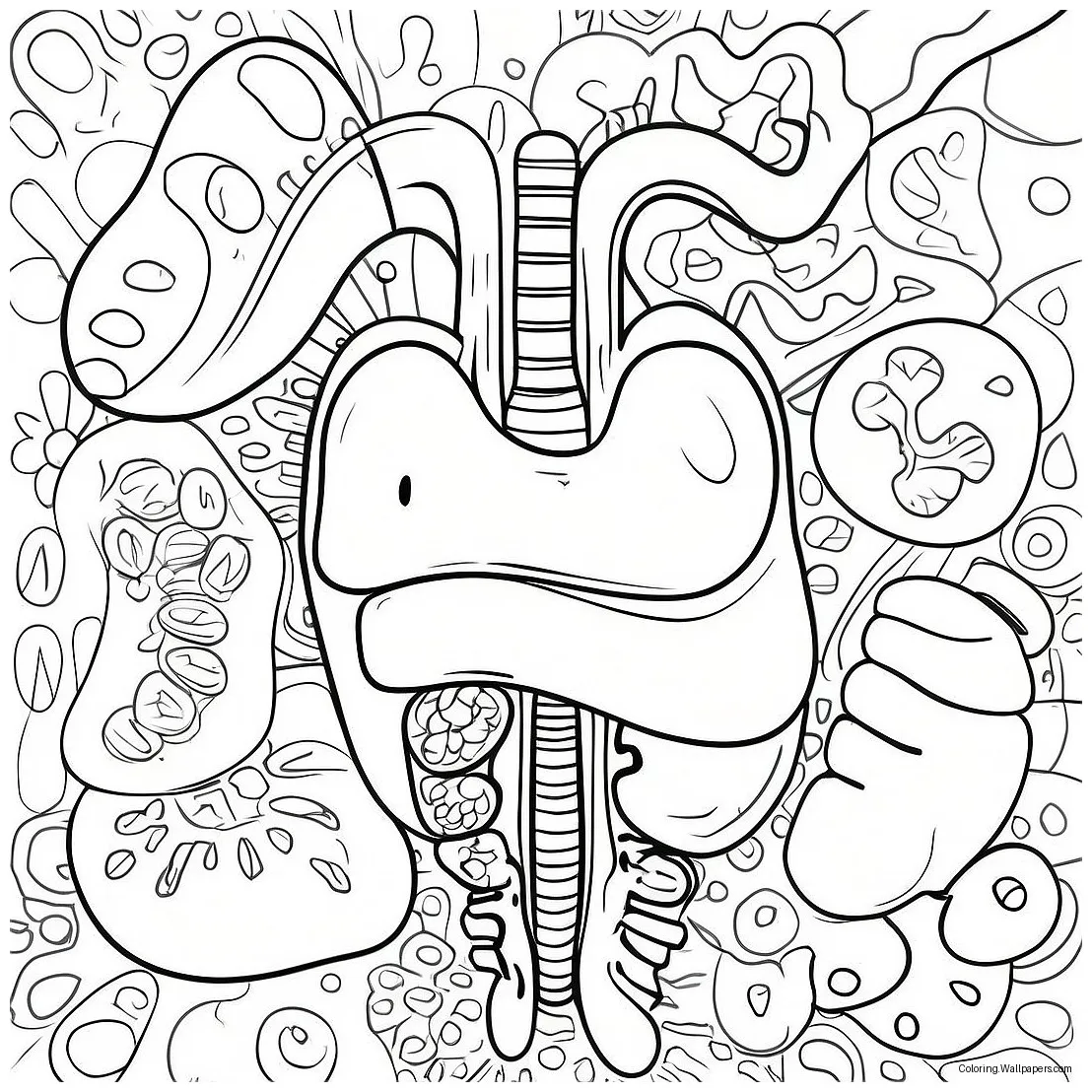 Colorful Digestive Organs Coloring Page (53204-42087)