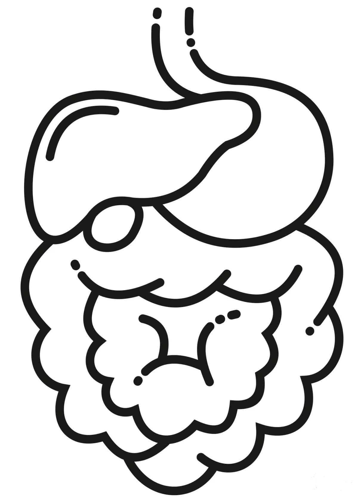 Digestive System coloring page - ColouringPages