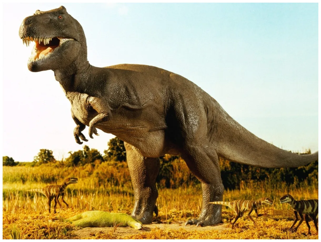 20 interesting facts about dinosaurs