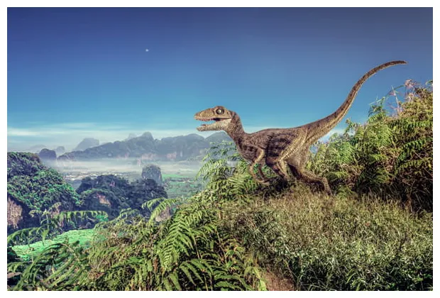 Quels sont les noms des dinosaures