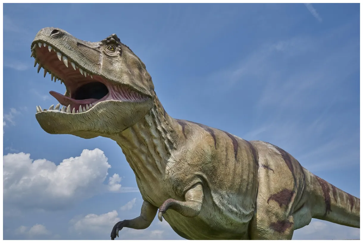 300+ free tyrannosaurus rex & dinosaur s pixabay