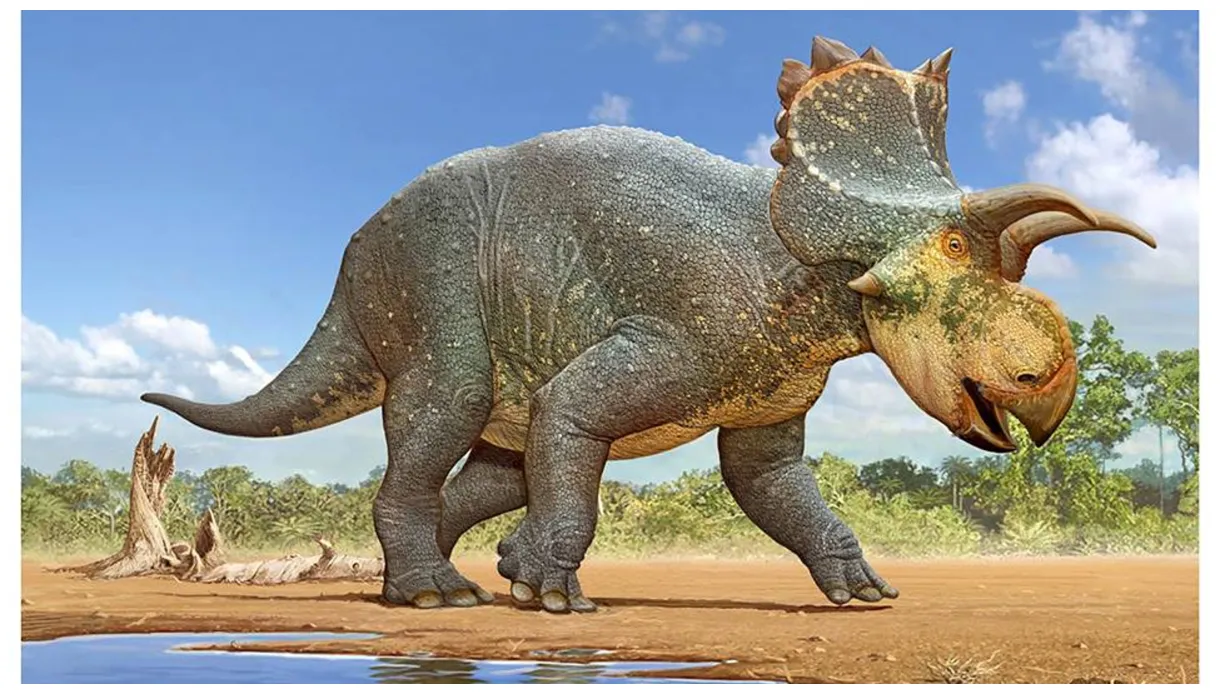 New dinosaur species revealed by new mexico scientists