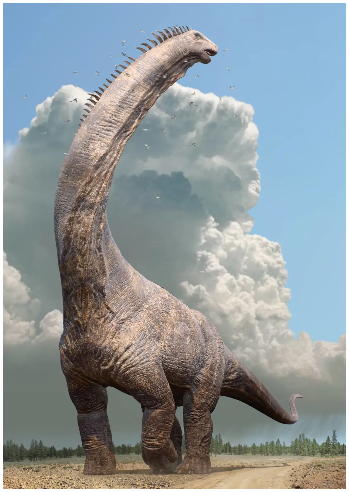 Diagram of a dinosaur scientific dinosaur anatomy