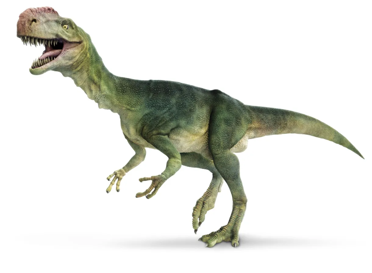 What is a dinosaur dinosaurs for kids dk find out