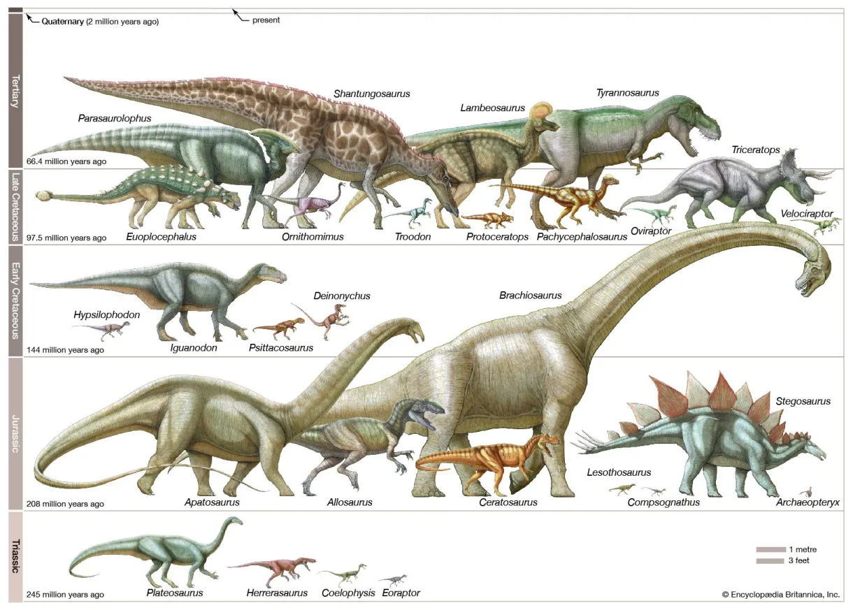 Tyrannosaurus dinosaur genus britannica
