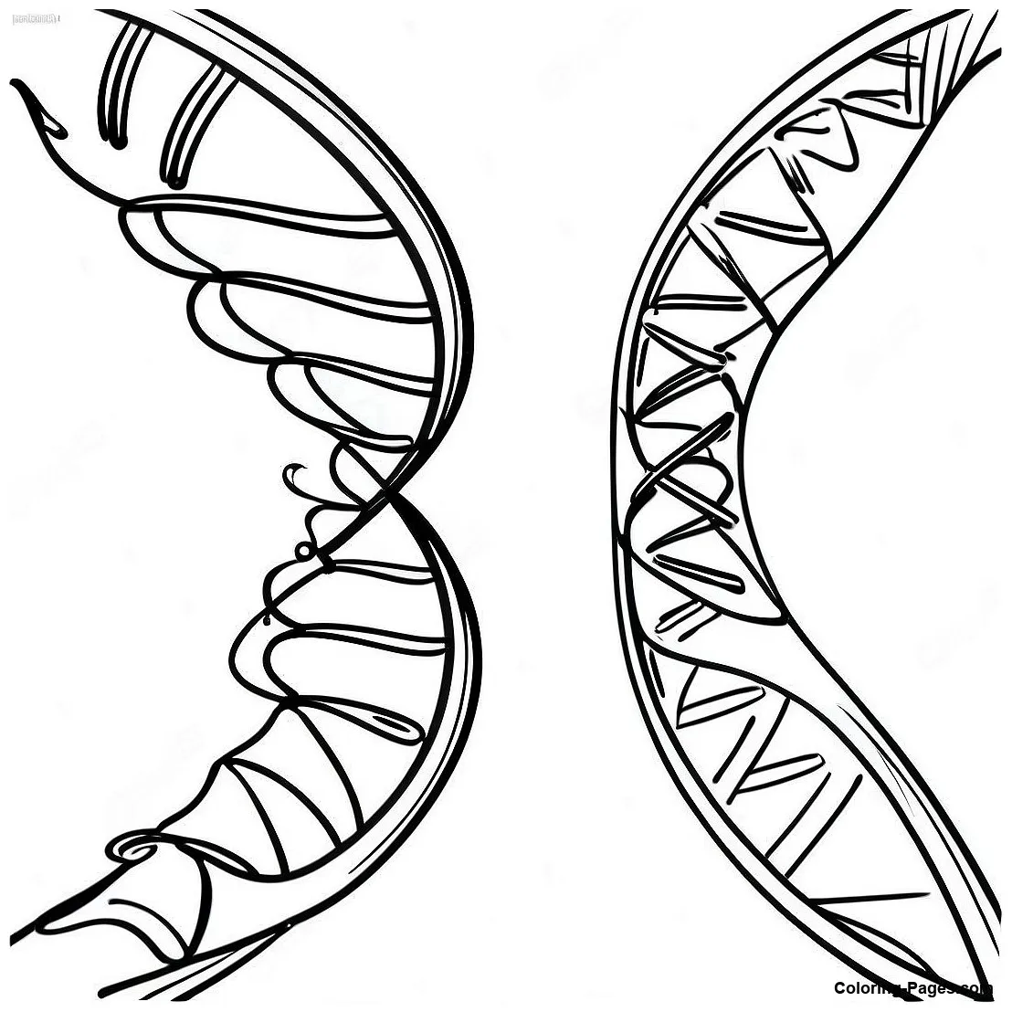 Dna double helix coloring page coloring-pages