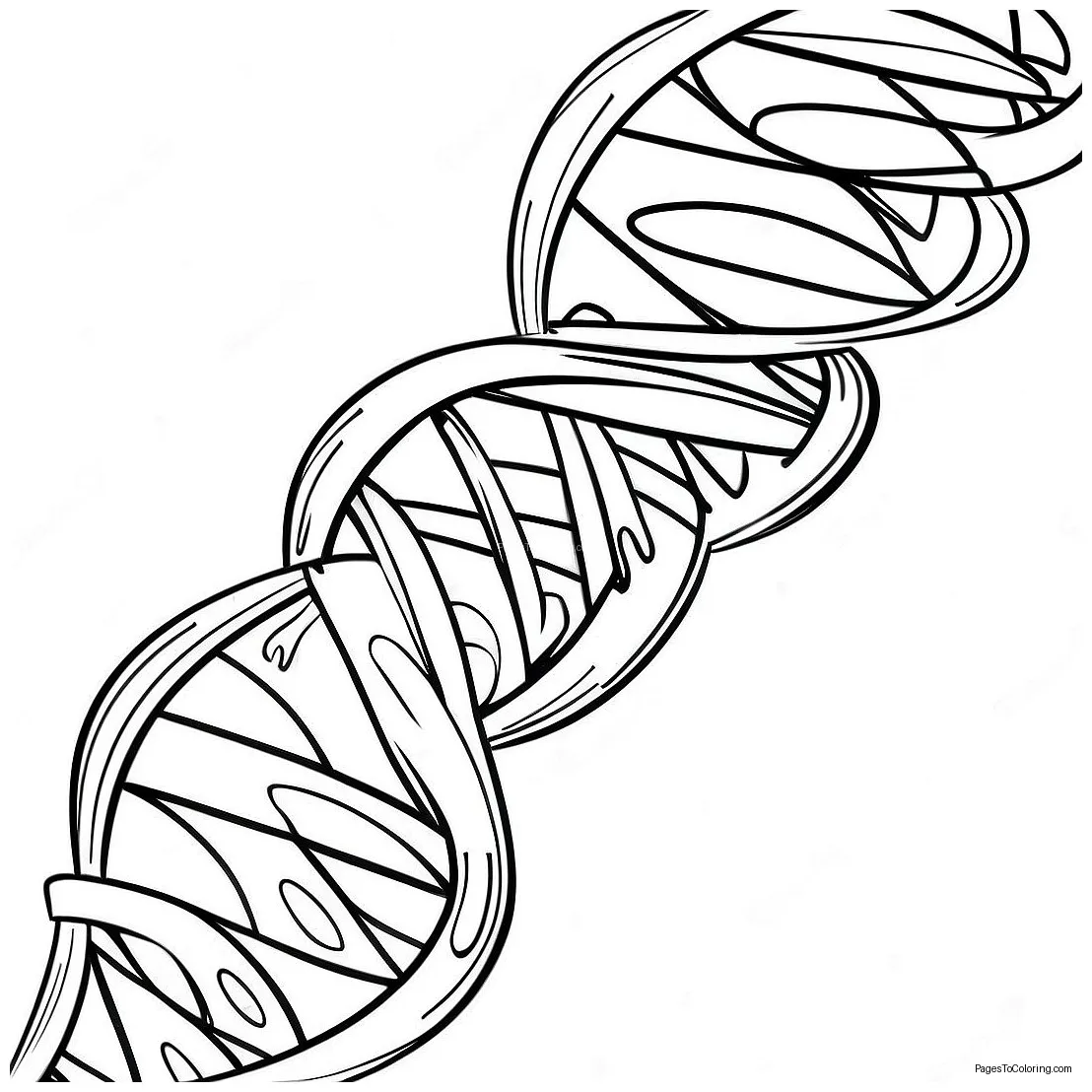 Dna double helix coloring page 29274-23610