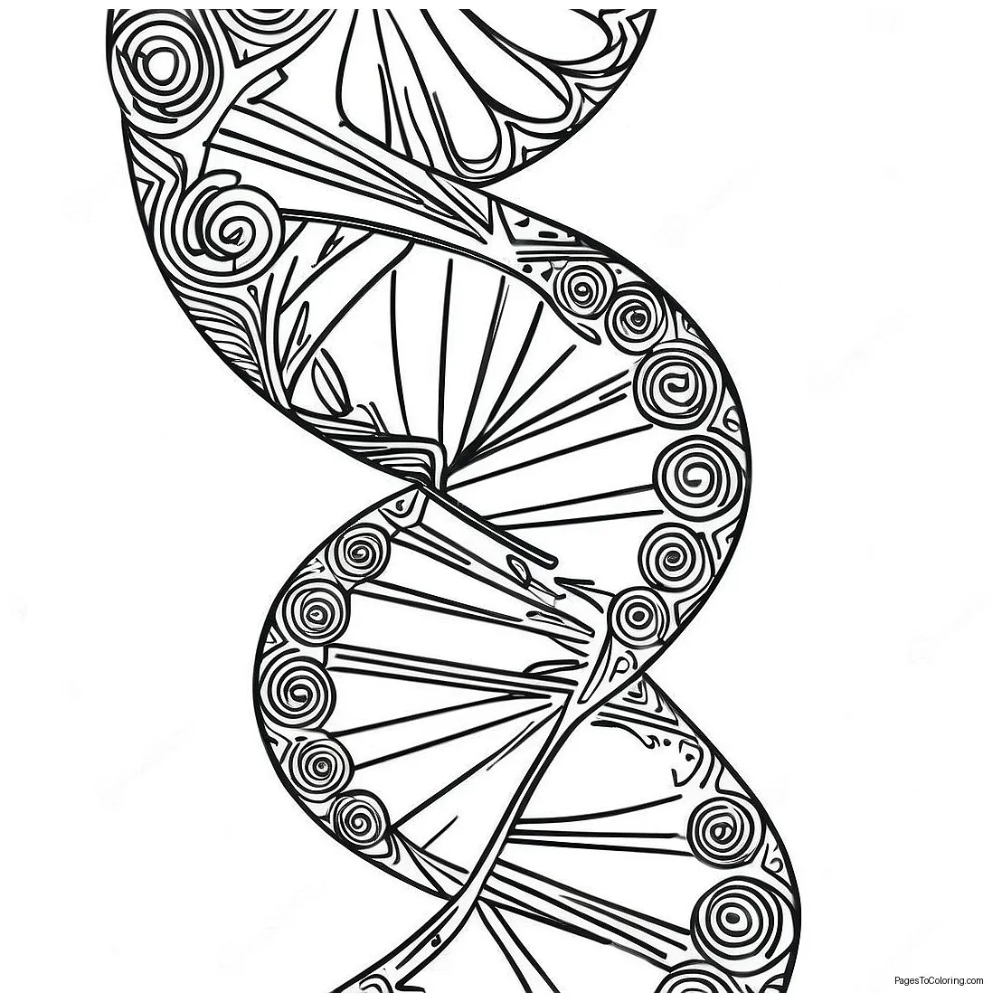 Dna double helix coloring page 29274-23611