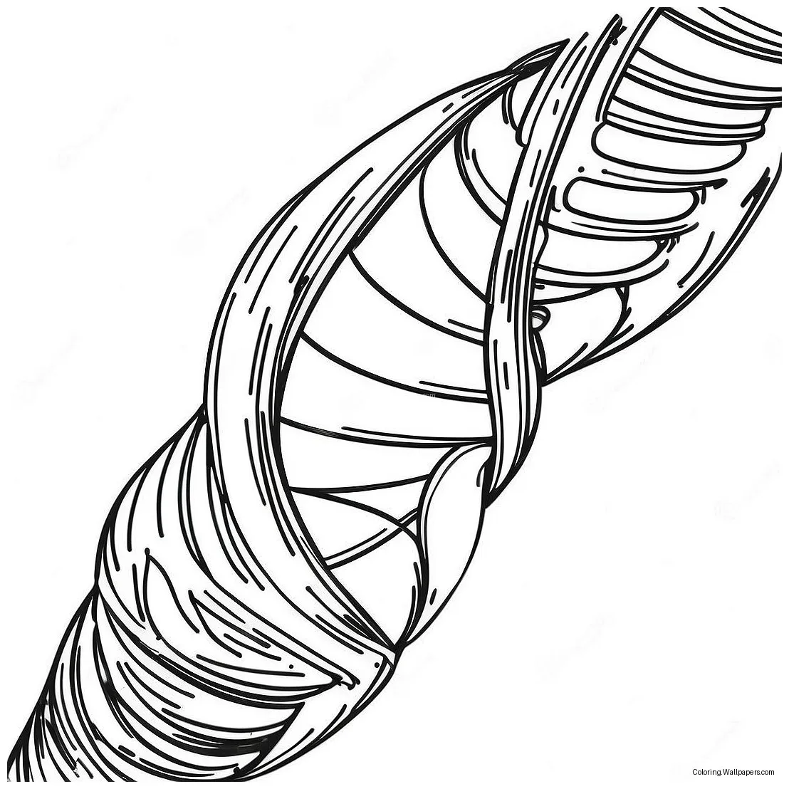 Dna double helix coloring page 29275-23129 printable coloring page