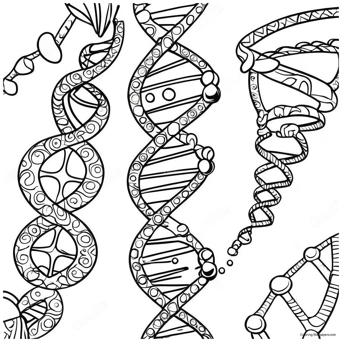 Dna double helix coloring page 29275-23132