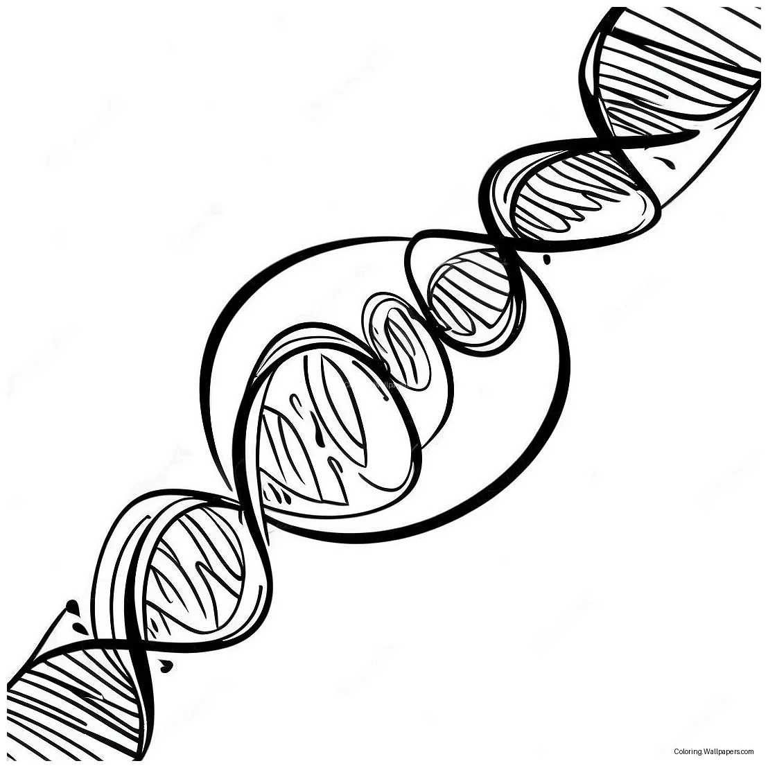 Colorful 26053-20577