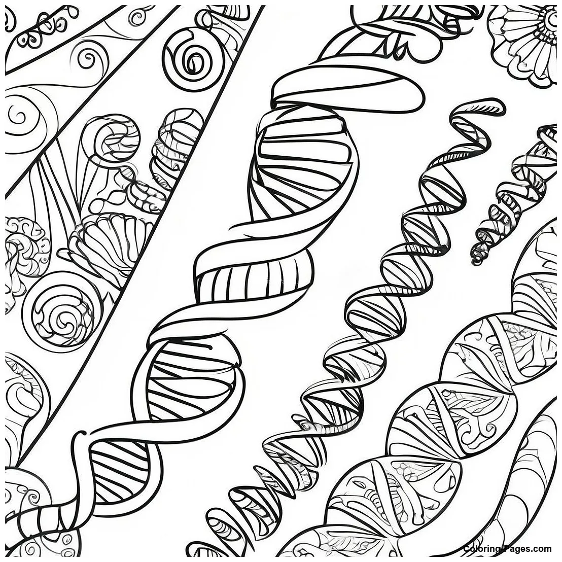 Double helix dna coloring page coloring-pages