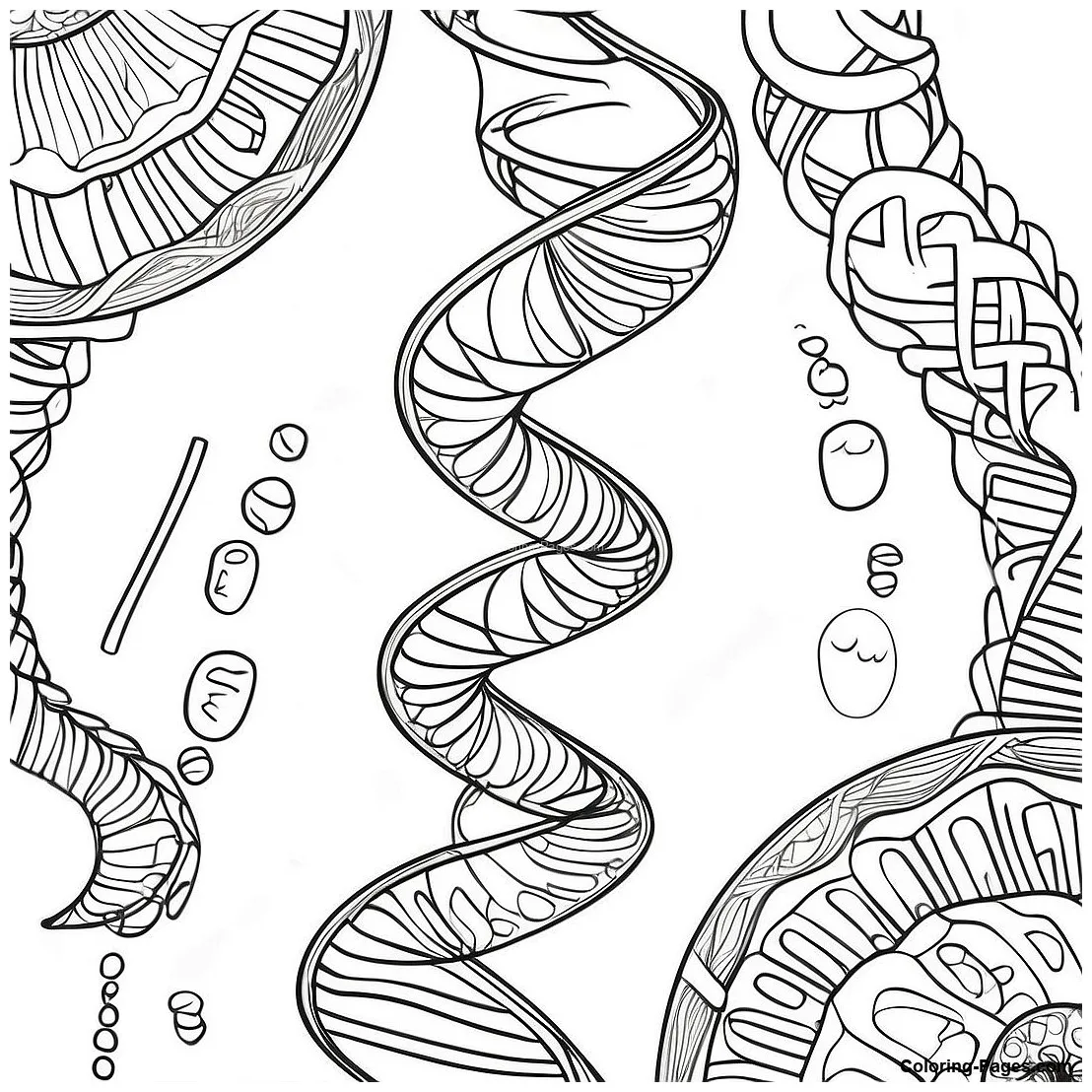 Dna double helix coloring page coloring-pages