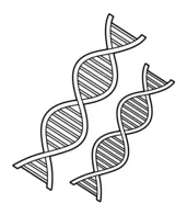 DNA Strand Model coloring page | Free Printable Coloring Pages