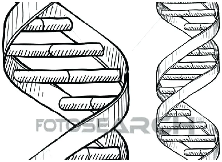 Dna Coloring Page at GetColorings.com | Free printable colorings pages